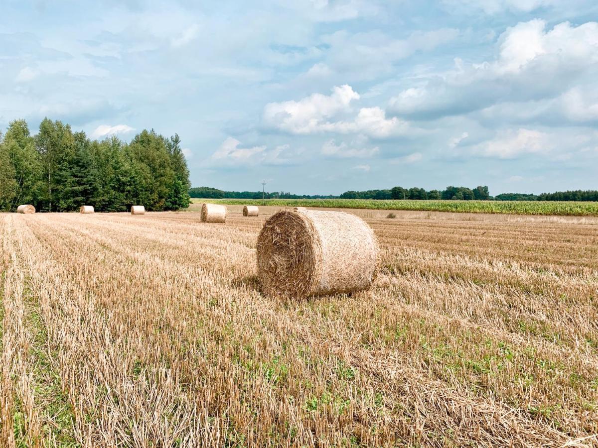 Agroturystyka Sielanka Przasnysz Esterno foto
